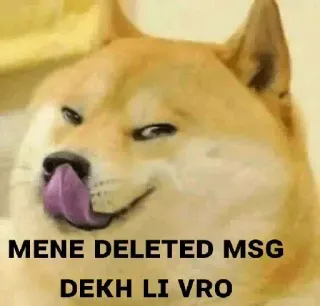 👀 Doge Doge Meme MENE DELETED MSG DEKH LI VRO telegram sticker