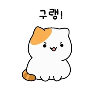 💬 구랭! gato, lindo, animal, pegatina, coreano telegram sticker