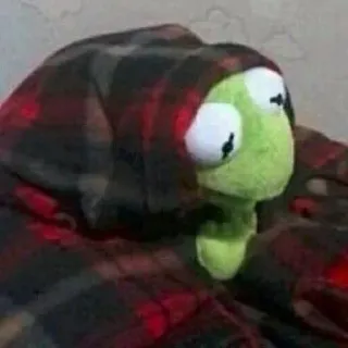 😴 marionetta, Kermit, plaid, accogliente, coperta telegram sticker