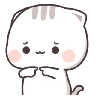 👉 kat, schattig, lief, kawaii, mochi, dier telegram sticker