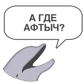🤔 А ГДЕ АФТЫЧ? delfín, pregunta, ruso, animal whatsapp sticker