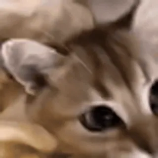 ☺️