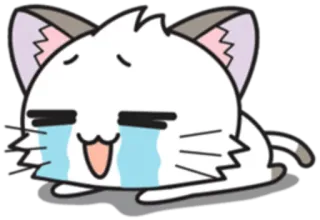 😢 cat, crying, sad, anime, sticker, cartoon whatsapp sticker