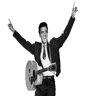 🤗 Elvis Presley âm nhạc, ca sĩ, guitar, rock and roll, trắng đen, Elvis telegram sticker