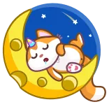 😴