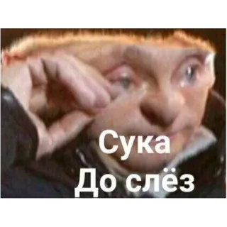 😢 Сука
До слёз russian, meme, crying, funny, text, insult telegram sticker