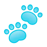 🐾