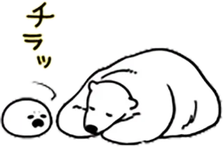 💤 チラッ Bär, Tier, Schlafen, Schlaf, Niedlich whatsapp sticker