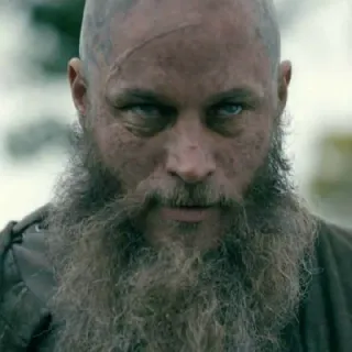 🩸 Ragnar Lothbrok Vikings ラグナル, ヴァイキング, 歴史, テレビ番組, 戦士, トラヴィス・フィメル, ノース, 髭の男 telegram sticker