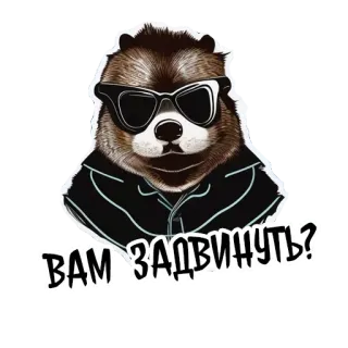 ❔ ВАМ ЗАДВИНУТЬ? bear, sunglasses, animal, cool, russian, phrase telegram sticker