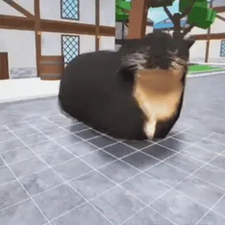 🐱 cat, pet, animal, funny, meme, cute, chubby, virtual whatsapp sticker