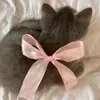 🎀