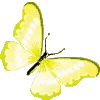 🦋