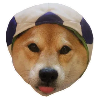 😋 собака, сиба ину, питомец, милый, животное, мем telegram sticker