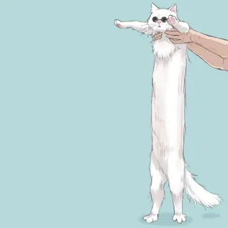 🐈 Katze, lustig, Meme, lange Katze, coole Katze, Sonnenbrille telegram sticker