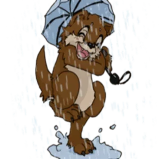 🌦 wydra, deszcz, parasol, kreskówka, zwierzę, słodki telegram sticker