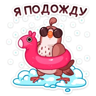 😎 Я подожду burung, kacamata hitam, berenang, pelampung, lucu, kartun, menunggu telegram sticker