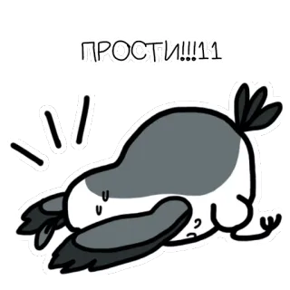 🙇‍♀ ПРОСТИ!!!11 นก, ขอโทษ, การ์ตูน, ขอโทษ telegram sticker