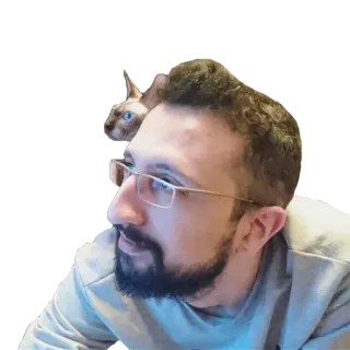 😁 мужчина, кот, очки, селфи, портрет whatsapp sticker