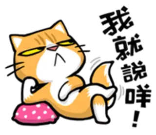 😕 Katze, Cartoon, faul, Attitüde, Tier, Haustier whatsapp sticker