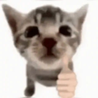 🤩