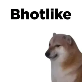 😠 Bhotlike 도지, 강아지, 밈, 동물 telegram sticker