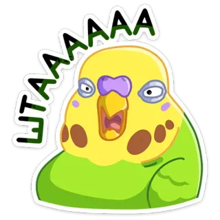 ❓ EATAAAA parkiet, vogel, dier, papegaai, eten, grappig, cartoon telegram sticker