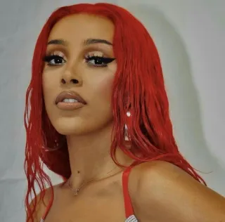 🐚 Doja Cat Doja Cat, musicienne, chanteuse, cheveux rouges, portrait, célébrité telegram sticker