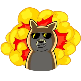 💥 explosión, llama, gafas de sol, dibujos animados, guay, animal whatsapp sticker