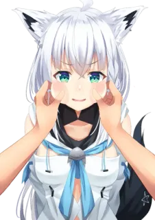 😅 Fubuki Shirakami anime, vtuber, cute, fox girl whatsapp sticker
