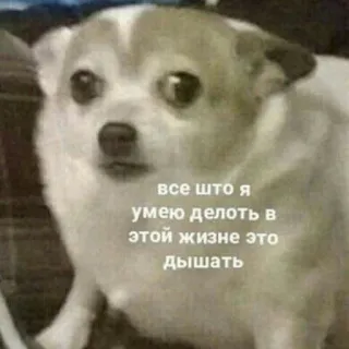 😥 все што я умею делоть в этой жизне это дышать telegram sticker