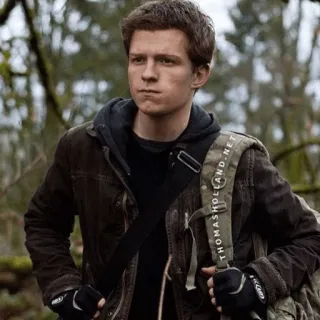 ⚙ Tom Holland THOMASHOLAND.NET Tom Holland, actor, celebridad, retrato, bosque whatsapp sticker
