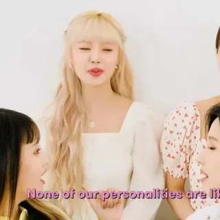 🐚 None of our personalities are li whatsapp sticker