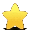 🌟