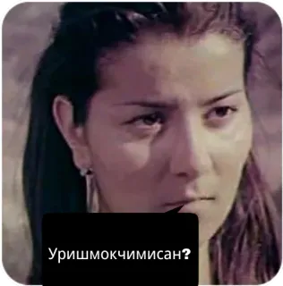 😡 Уришмокчимисан? whatsapp sticker