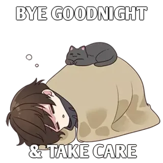 ✨ BYE GOODNIGHT
& TAKE CARE buonanotte, gatto, dormire, stanco, ciao, sonno whatsapp sticker