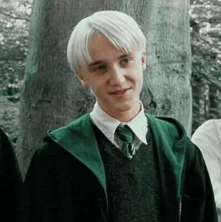 🐾 Draco Malfoy Harry Potter 드레이코 말포이, 해리 포터, 슬리데린, 마법사, 캐릭터 telegram sticker