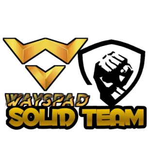 🤗 WAYSPAD
SOLID TEAM team, logo, gold, wayspad telegram sticker