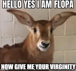 🌟 HELLO YES I AM FLOPA
NOW GIVE ME YOUR VIRGINITY animal, floppa, deer, offensive, meme telegram sticker