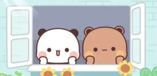 👀 carino, panda, orso, finestra, kawaii telegram sticker