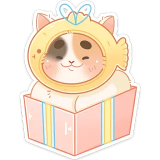 ☺️ gato, pegatina, gatito, caja, sombrero de pez, lindo, animal, mascota whatsapp sticker