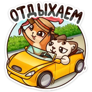 😎 ОТДЫХАЕМ gato, perro, coche, animales, vacaciones, ruso telegram sticker