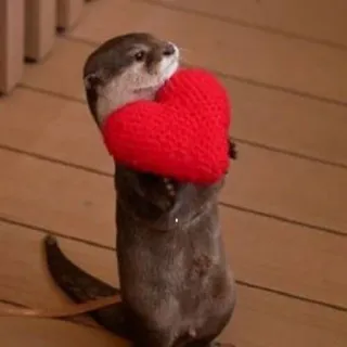 🦦 Nutria, Corazón, Animal, Amor, Lindo, Rojo, Adorable telegram sticker