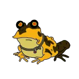 🐸 лягушка, животное, жаба, амфибия, мультфильм whatsapp sticker