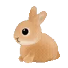 🐇