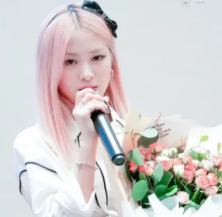 🖤 女性, ピンクの髪, 花, マイク, 歌手, パフォーマー whatsapp sticker