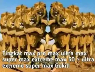 super gokil wok whatsapp stickers