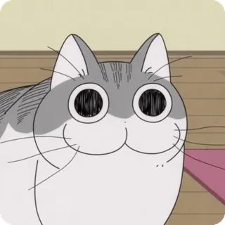 🌟 mèo, anime, dễ thương, kawaii, động vật, thú cưng whatsapp sticker