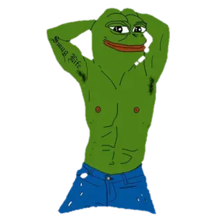 😐 Pepe the Frog Smug Life Pepe o Sapo, arrogante, Meme, Meme da Internet whatsapp sticker