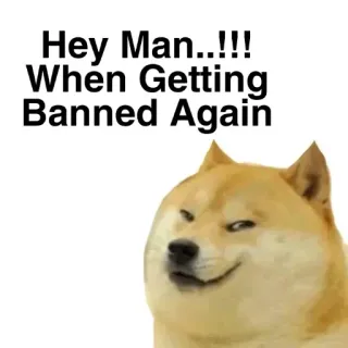 😆 Doge Hey Man..!!! When Getting Banned Again doge, meme, cấm, internet, hài hước telegram sticker